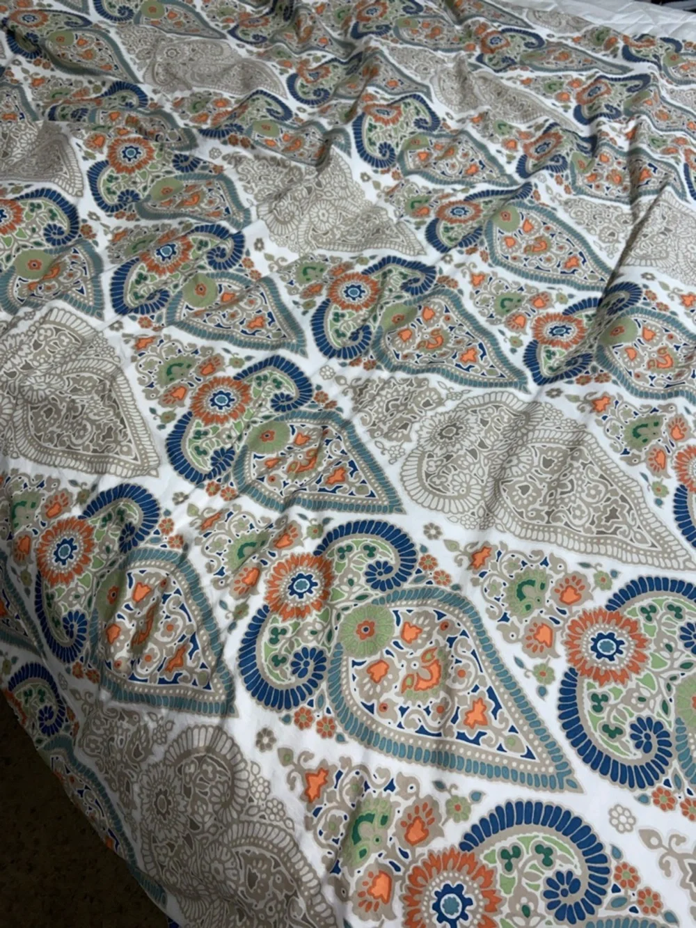 Like new Pottery Barn Gisela Paisley Twin Duvet set of 2 w PB teen comforters